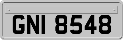 GNI8548