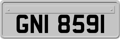GNI8591