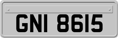 GNI8615