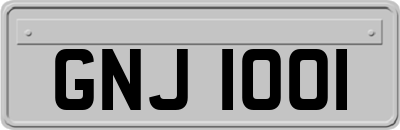 GNJ1001