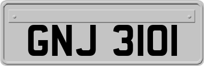 GNJ3101