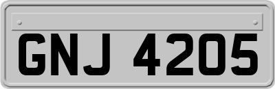 GNJ4205
