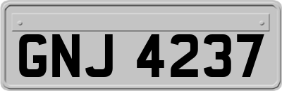 GNJ4237