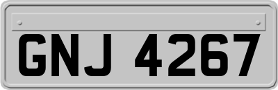 GNJ4267