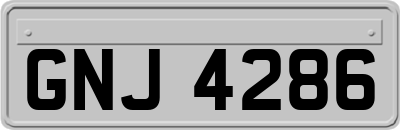 GNJ4286