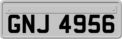 GNJ4956