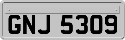GNJ5309
