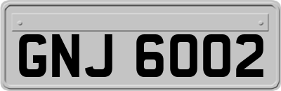 GNJ6002
