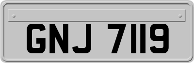 GNJ7119