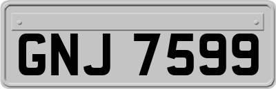 GNJ7599