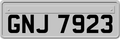 GNJ7923