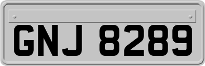 GNJ8289