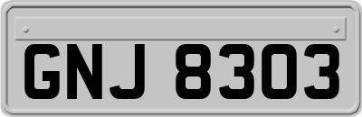 GNJ8303