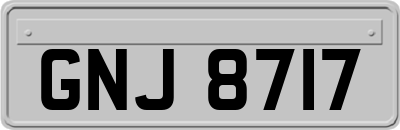 GNJ8717