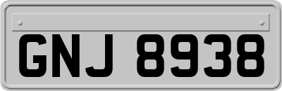 GNJ8938