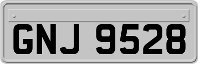 GNJ9528
