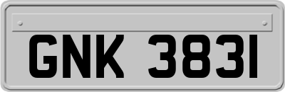 GNK3831