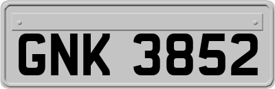 GNK3852