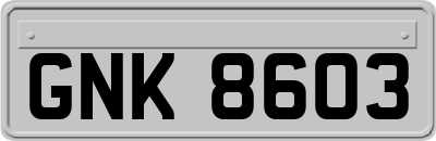 GNK8603