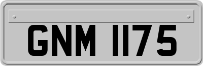 GNM1175