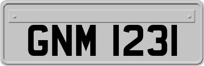 GNM1231