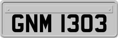 GNM1303