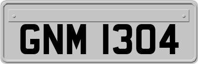 GNM1304