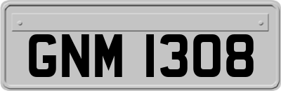 GNM1308