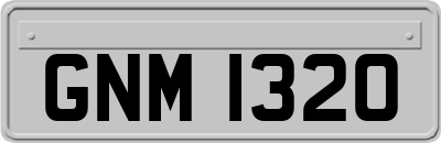 GNM1320