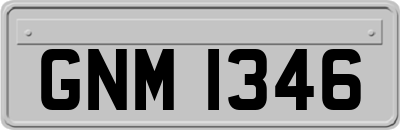 GNM1346