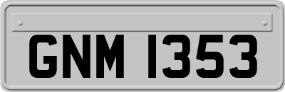 GNM1353