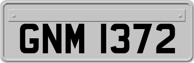 GNM1372