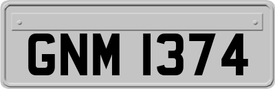 GNM1374