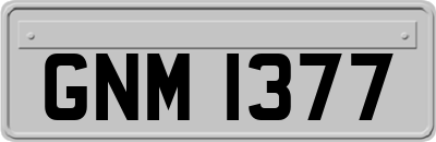 GNM1377