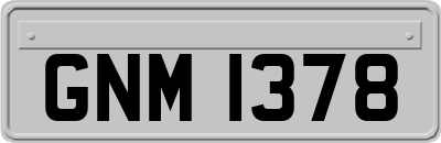 GNM1378