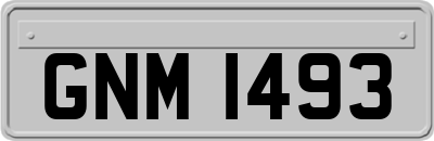 GNM1493