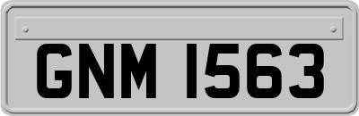 GNM1563