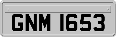 GNM1653