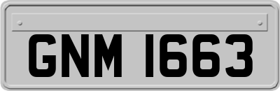 GNM1663