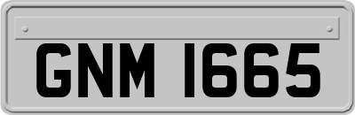 GNM1665