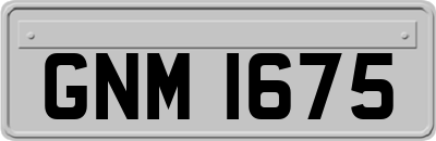 GNM1675