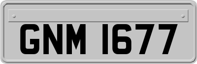 GNM1677