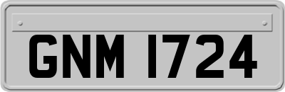 GNM1724