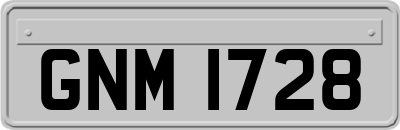 GNM1728