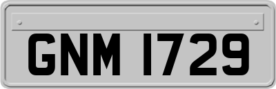 GNM1729