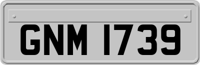 GNM1739