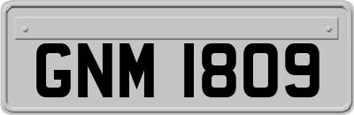 GNM1809