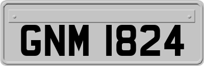 GNM1824