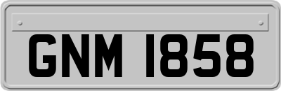 GNM1858