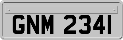 GNM2341